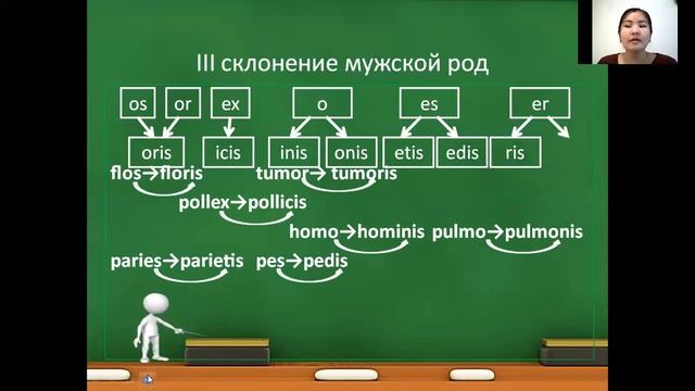 Существительные III склонения 1 часть смотреть онлайн