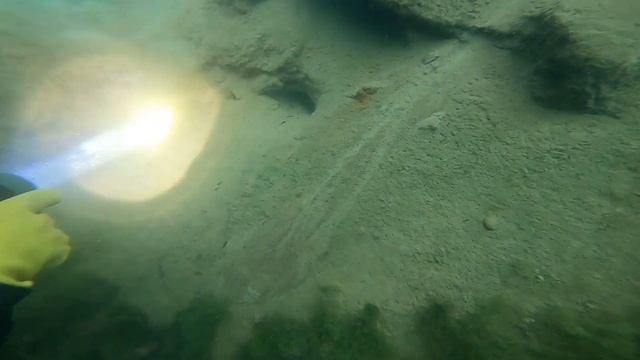 Карьер в Пугарево (Всеволожск) смотреть онлайн