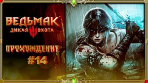 [2K Старенькие игры] Ведьмак 3: Дикая Охота: часть #14