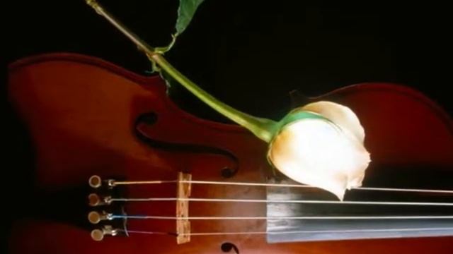 Николай Рябуха - Романс Лапина.wmv смотреть онлайн