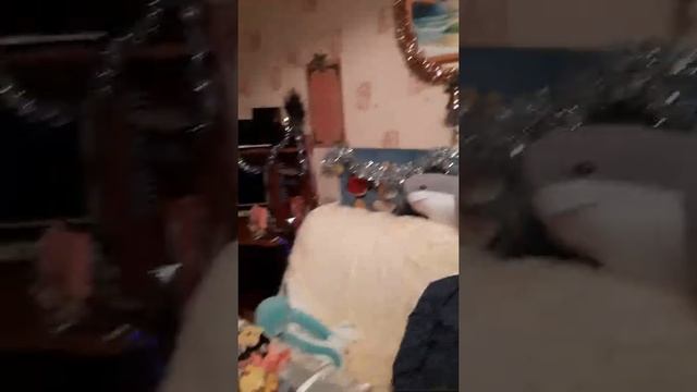 Отметили новый 2021 год Новый год разных стран мира новыйгод гимнРоссии годбыка2021?