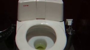 интересный туалет с автопомывкой стульчака