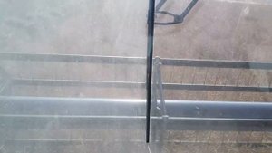 Уборка озимого рапса. Какая урожайность?