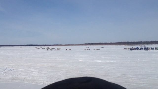 День Оленевода смотреть онлайн