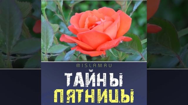 Тайны пятницы смотреть онлайн