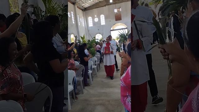 missa de Ramos ❤️ смотреть онлайн