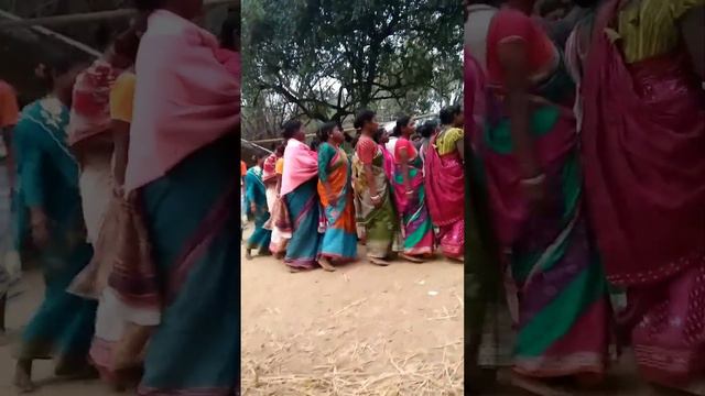 New Santali Video 2024//Karom Enej Short Video 🎥//Murmu & Murmu // Badadas Murmu Short Video. 🎥//24