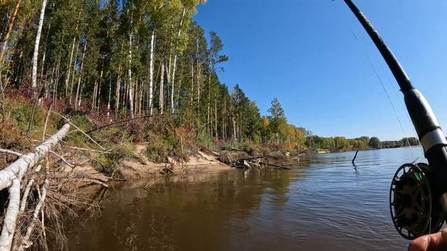 🎣РЫБАЛКА 2023 СЕНТЯБРЬ ТРЕТИЙ ДЕНЬ🎣#fishing #туризм#природа#ловля#рыбалка #щука#ловлящуки##ночевка