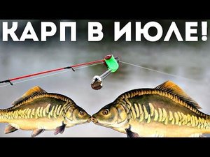 Новые редкие секреты ловли карпа в июле августе! Как на что и где ловить карпа в июле?