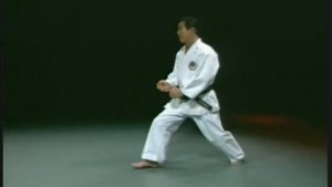 Вадо-рю каратэ.Wado Ryu Karate