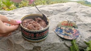 Тушёнка из оленины