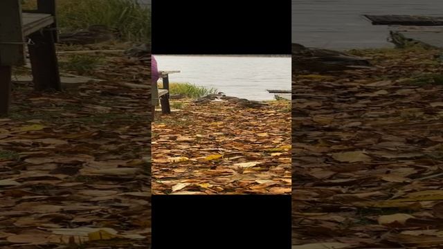 2022-10-20 смотреть онлайн