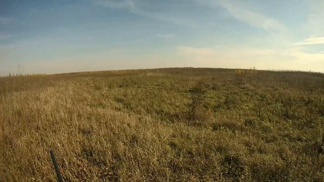 Охота на тетерева с подхода. смотреть онлайн