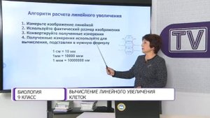 Биология. 9 класс. Вычисление линейного увеличения клеток