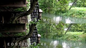 canon G5X vs EOS 70D