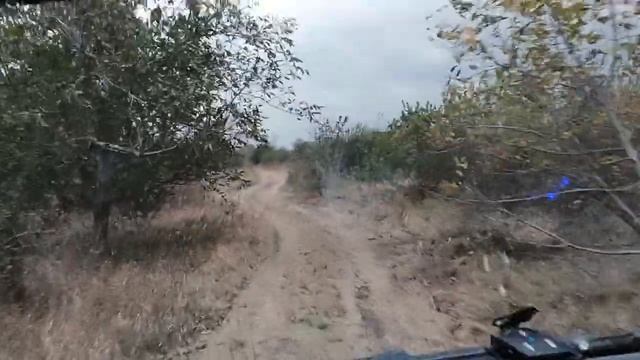 Кто украл наше счастье? смотреть онлайн