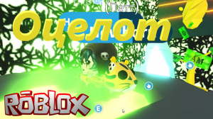 СМОТРИМ НА НОВОЕ Пиратское СОБЫТИЕ В АДОПТ МИ ОТ 09.02.23! Roblox