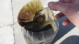 Что стало после промывки димексидом , радоваться или огорчаться ! смотреть онлайн