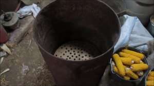 Сушка кукурузных початков 07 11 20г