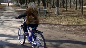 Как научить ребенка КАТАТЬСЯ НА ВЕЛОСИПЕДЕ. 5 лайфхаков. Новый велосипед МАРИЧКИ. Обзор и обучение