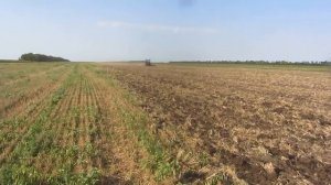 Борона дисковая БДМ 5,6х2 производства БДТ АГРО
