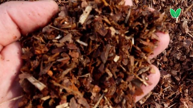 Мульчирование - кора сосны мелкая фракция с примесью щепы