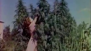 Советский Союз в 1947 г. (USSR 1947)