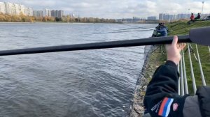 ТАКТИКА ЛОВЛИ НА СОРЕВНОВАНИЯХ! РЫБОЛОВ-СПОРТСМЕН ОТВЕЧАЕТ! НЕПРЯМОЙ ЭФИР С ИЛЬЁЙ ЯКУШИНЫМ!