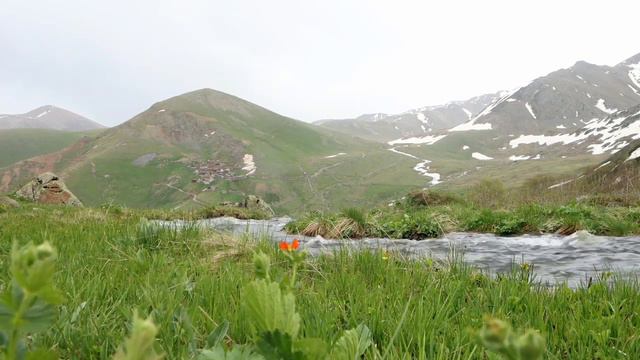 Скрипка и кандрабаз Violin and cantrabass