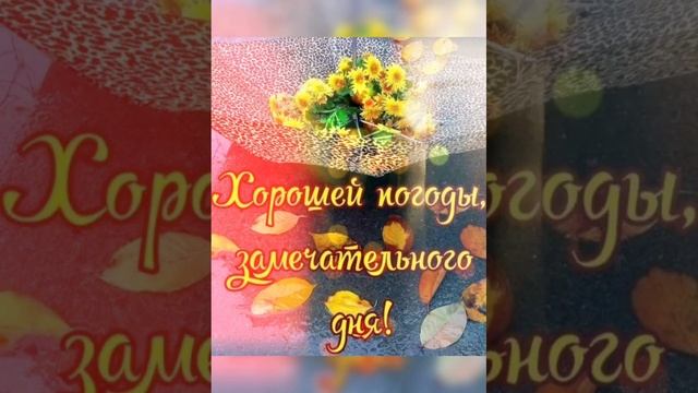 С Добрым осенним утром ноября и хорошего дня сегодня и всегда!!