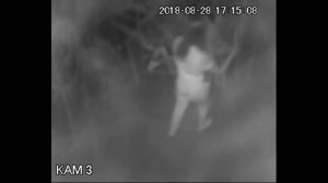 ЛАБИРИНТ СТРАХА В НН/УЖАСЫ В ЛАБИРИНТЕ СТРАХА