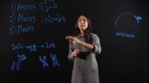 БИОЛОГИЯ 6 класс: Деление клетки