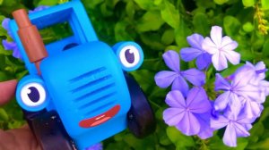 Синий трактор увидел цветы #Тракторенок