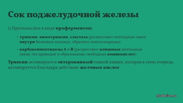 Тонкая и толстая кишка. Строение. Болезнь Крона. Лекция и разбор заданий от Юрия Беллевича