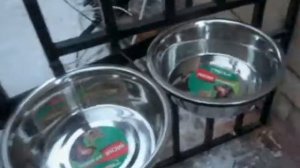 Выдвижная кормушка в вольер для собак