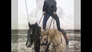 Александр Носиков. Родовой казак.