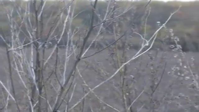 Виды оружия и охоты на кабана смотреть онлайн