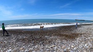 Виталий и его друзья! 12.05.2021 ?ЛАЗАРЕВСКОЕ СЕГОДНЯ?СОЧИ.