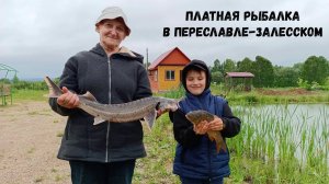 Бешеный клев после дождя