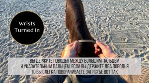 Часть 4 Положение рук при верховой езды