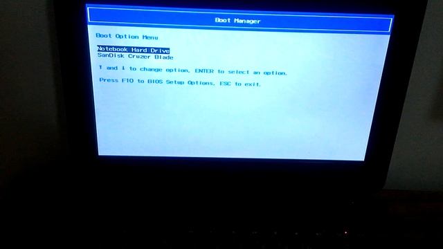 Como entrar no Boot Option Menu do Netbook HP Mini смотреть онлайн