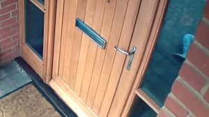 Такое Редко Увидишь! Записи с Камер Наблюдения