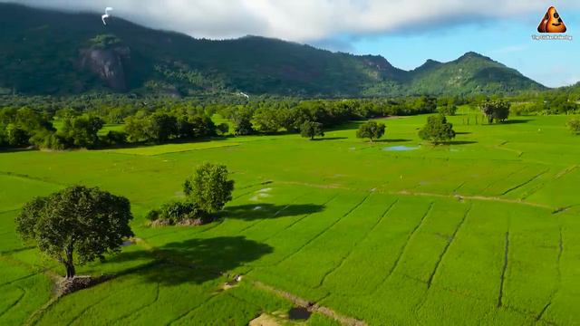 Лучшая Расслабляющая Музыка В Мире, Мелодичные Песни под Гитару смотреть онлайн
