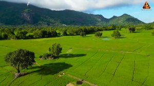 Лучшая Расслабляющая Музыка В Мире, Мелодичные Песни под Гитару