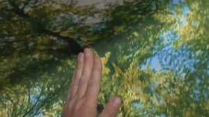 Акустическое полотно Descor Acoustic с фотопечатью. #orlast