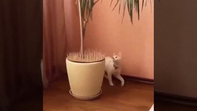 Закрыто.