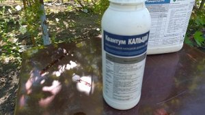 Обработка винограда кальцием по гроздям