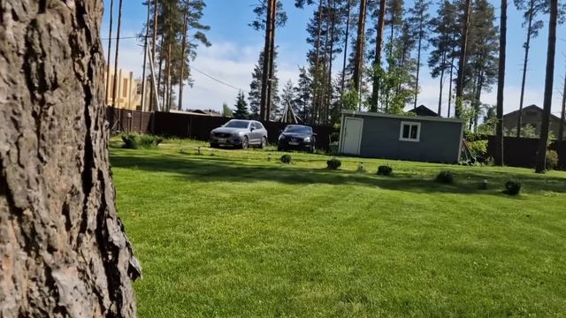 День во дворе/Соседи строятся/3ий покос/Газон и Цветы/у Мишки пропал Голос/Получила Посылку🌸 смотреть онлайн