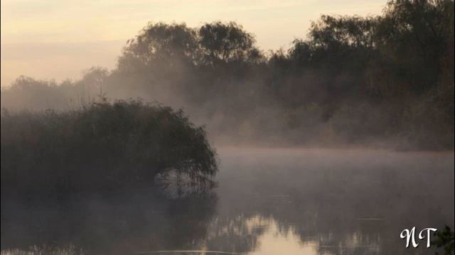 "Над рекою стелется утренний туман" смотреть онлайн