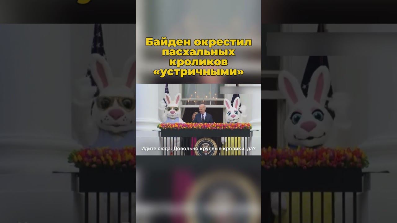Байден окрестил пасхальных кроликов «устричными» #байден #джобайден #пасха #пасхальныйкролик #шортс